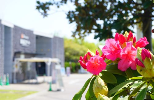 国営明石海峡公園11