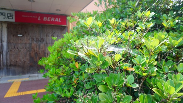 ららウォーク11