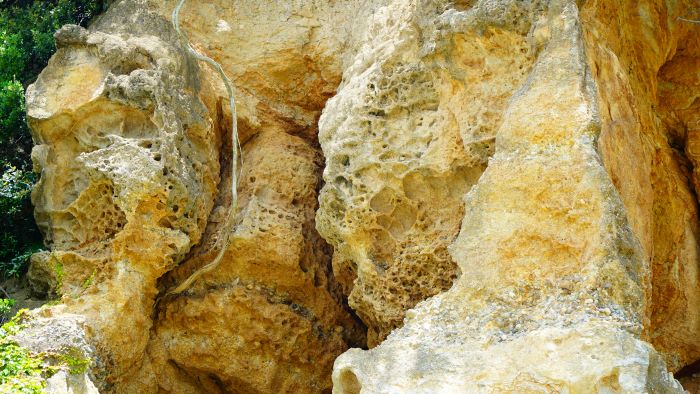 岩屋海水浴場17