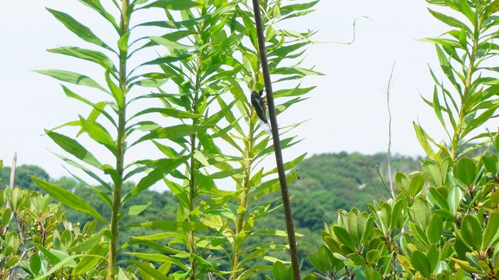 ららウォーク13