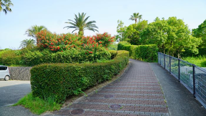 緑パーキングエリア31