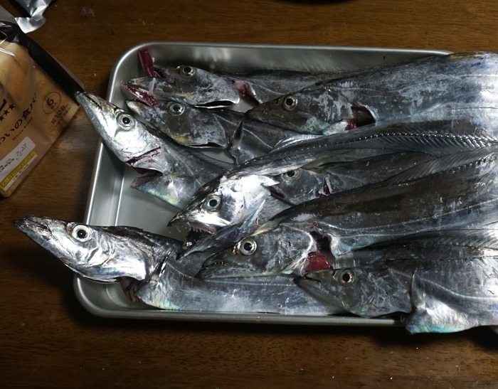 関西のつり / 2011年 6月号 / 波止の大物狙い撃ち！！ / 岳洋社 村上晴彦の理想形ライトショアジギングロッドFirst edition