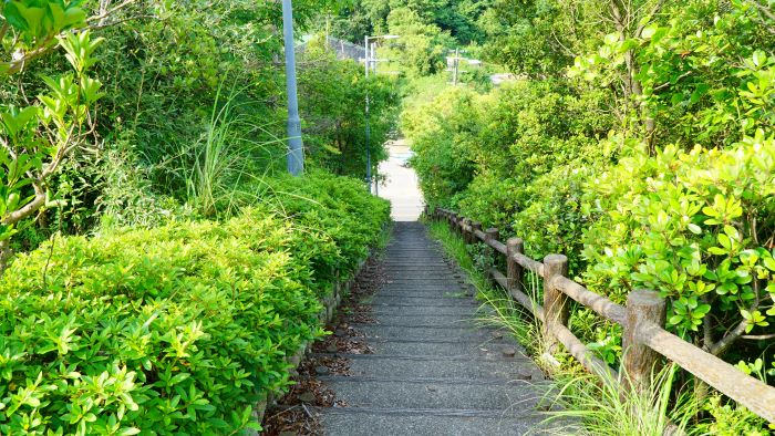 緑パーキングエリア19