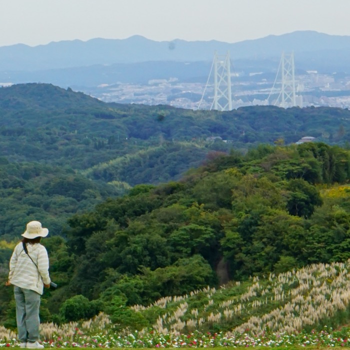 あわじ花さじき23