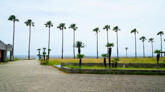 浦県民サンビーチ9