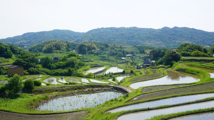 そばカフェ生田村13