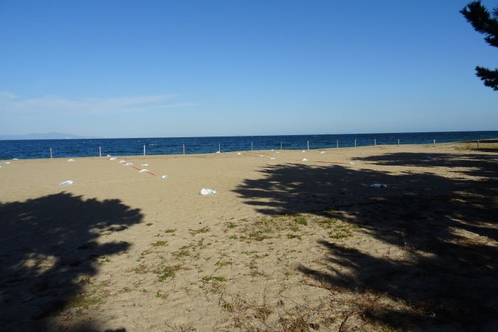 プロポーズ街道15