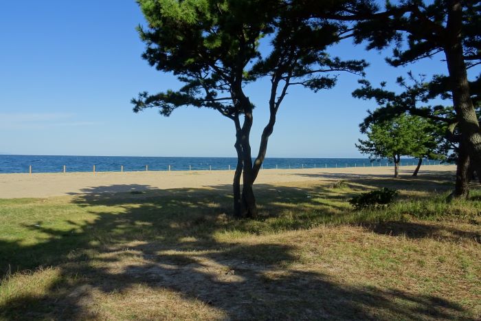 プロポーズ街道08