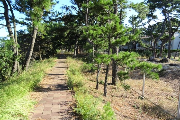 プロポーズ街道01