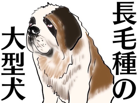 犬