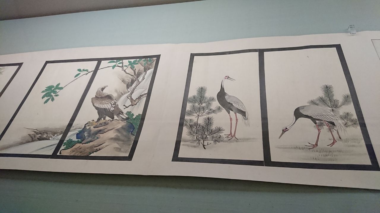 祝開店大放出セール開催中 東京国立博物館藏 應挙冩生帖 nascd.edu.bd