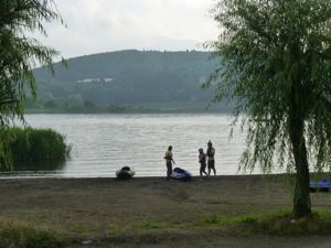 P1000809