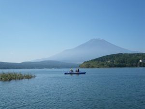 IMGP2517