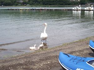 DSCF1732