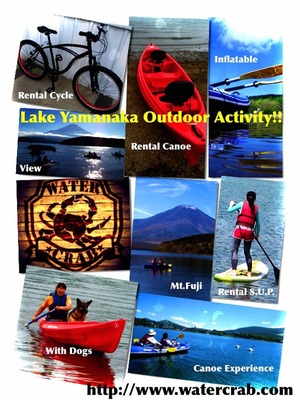 カードパンフ薄