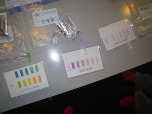 IMGP7359