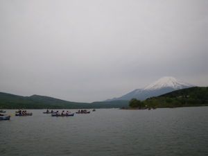 IMGP3033