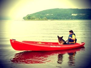 カヌー犬3
