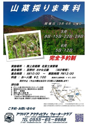 山菜採りま専科