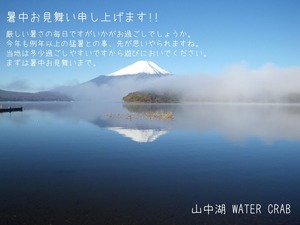 暑中お見舞い
