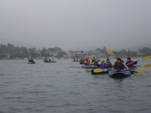 IMGP2313