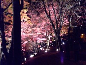 DSCF9472