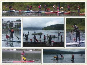 20150926　コラージュ