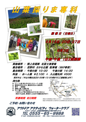 2012山菜採りま専科