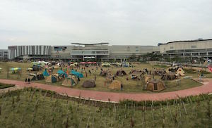 11054880_783250095105849_3380972750989710018_n