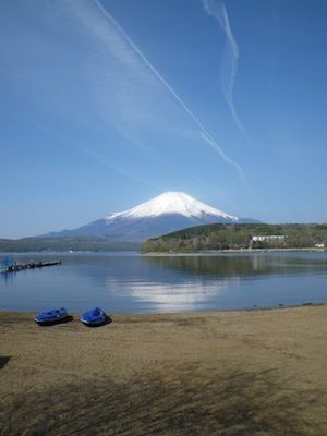 IMGP5082