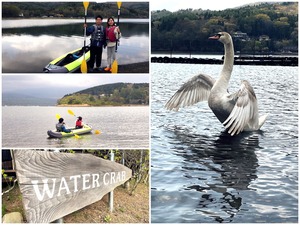 20230423 コラージュ