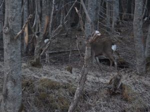 DSCF0638