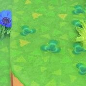 あつ森 ざっそう の種類 雑草という名の植物はない 備忘録 あつ森 ざっそう の種類 雑草という名の植物はない 備忘録