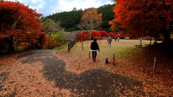 �����꡼�󥷥�å� 2025-11-25 211233