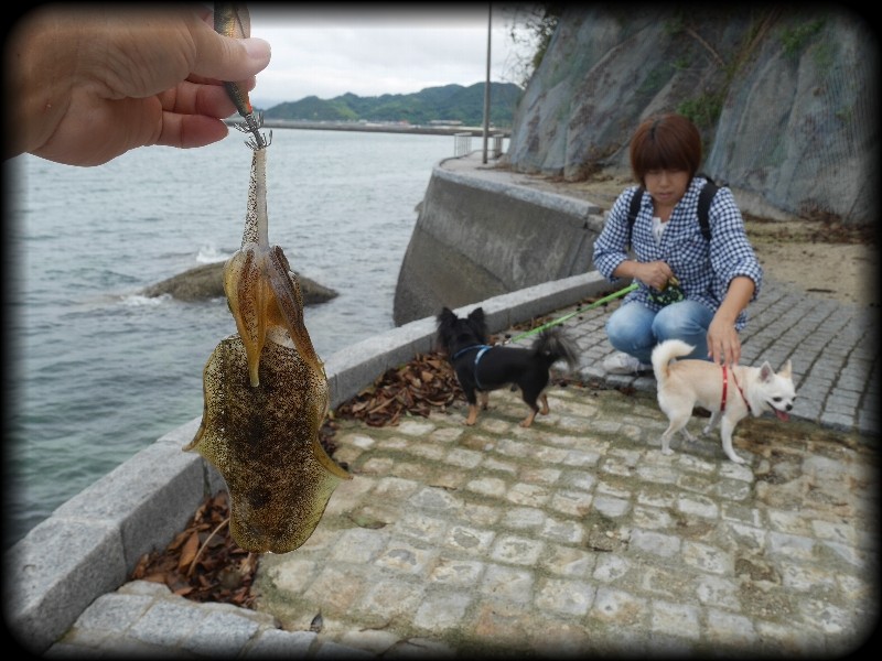 北条鹿島 海岸編 無題