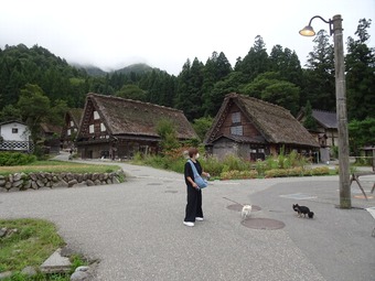 DSC04980