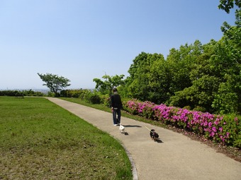 DSC02616