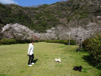 DSC01405