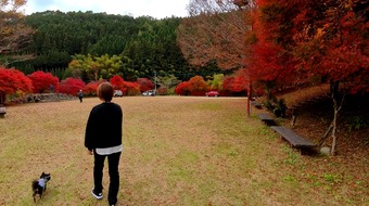 �����꡼�󥷥�å� 2025-11-25 211303