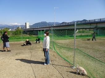 DSC02462