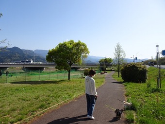DSC02449