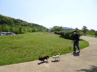 DSC02610