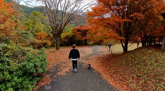 �����꡼�󥷥�å� 2025-11-25 211116