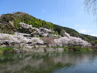 DSC01430