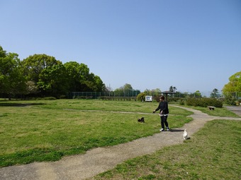 DSC02473
