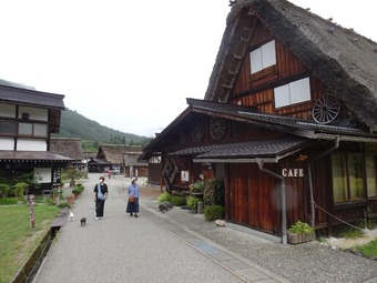 DSC04977