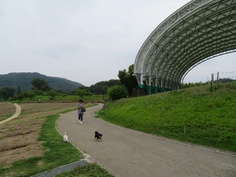 IMG_8871