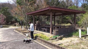 スナップショット- 1