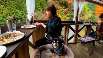 �����꡼�󥷥�å� 2025-11-25 211840