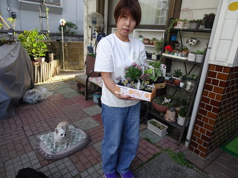 DSC05356